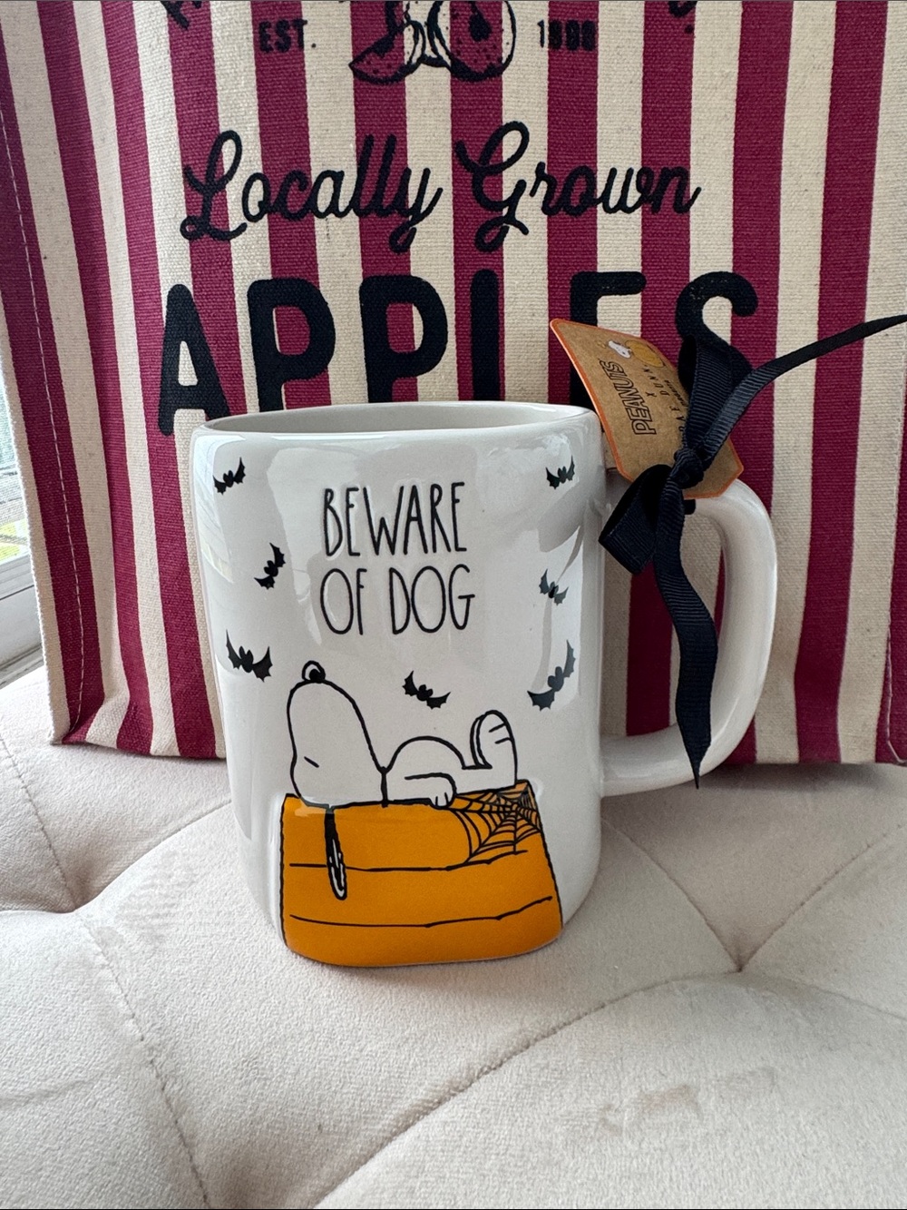 Beware Of Dog Peanuts Rae Dunn Mug